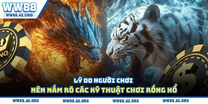 Lý do người chơi nên nắm rõ các kỹ thuật chơi rồng hổ