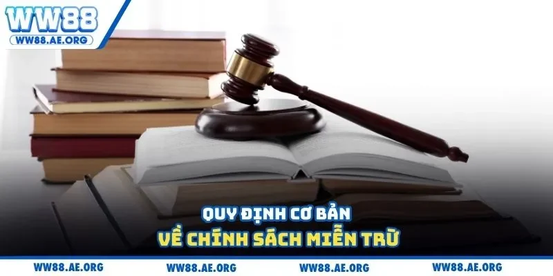 Quy định cơ bản về chính sách miễn trừ