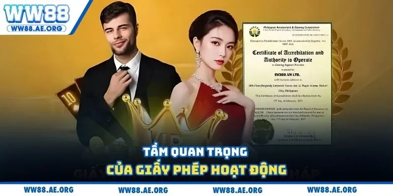 Tầm quan trọng của giấy phép hoạt động